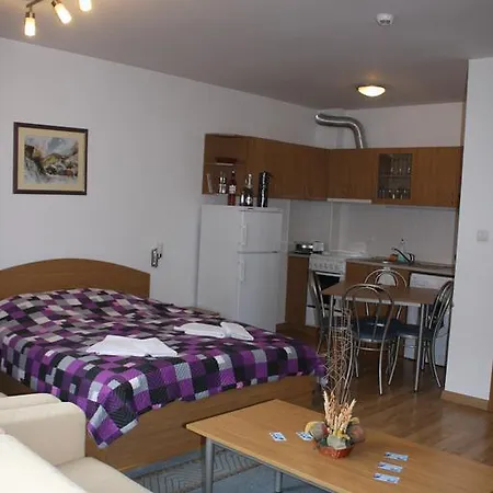 Apartment Moni